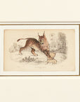 Parisian Spotted Lynx