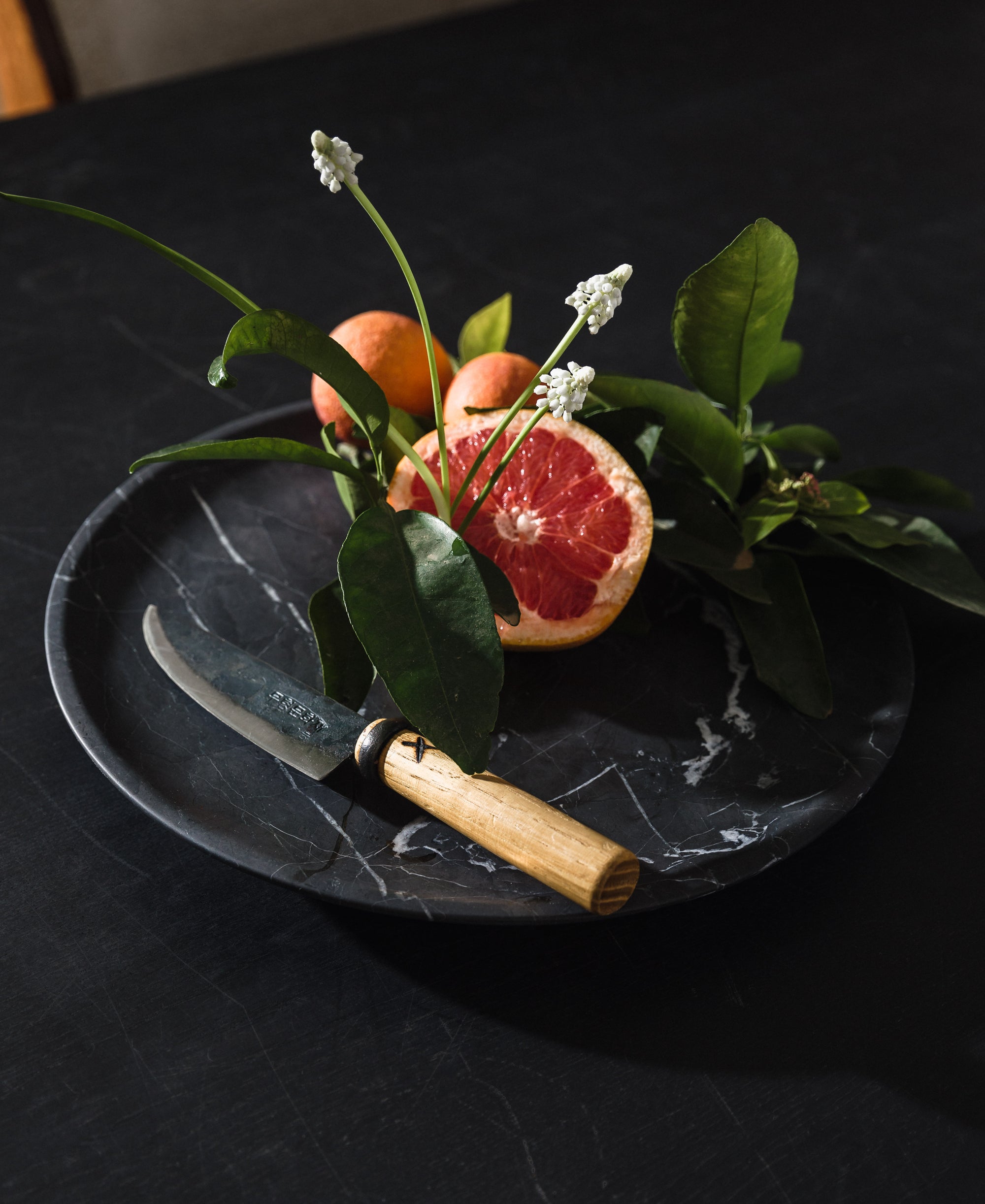 Master Shin's Anvil Chef Knife - Small